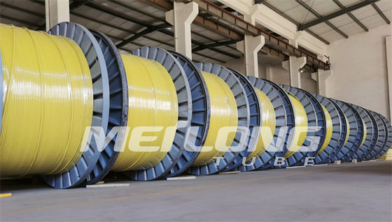 UNS S32750 Kapsüllü Kontrol Hattı Süper Dubleks 2507 Rilsan Naylon