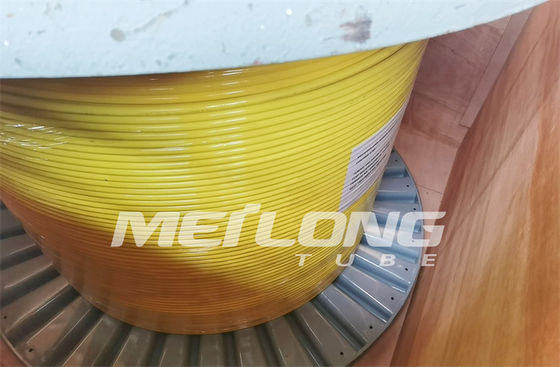 UNS S32750 Kapsüllü Kontrol Hattı Süper Dubleks 2507 Rilsan Naylon