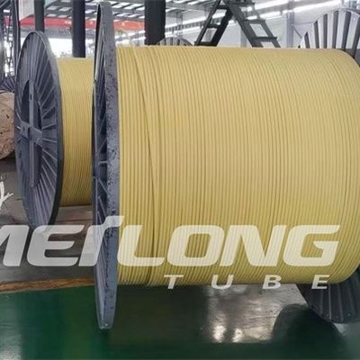 TP316L PVDF Kapsüllü Kontrol Hattı İki Tüplü Yüksek Basınçlı Düz ​​Paket
