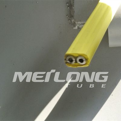 TP316L PVDF Kapsüllü Kontrol Hattı İki Tüplü Yüksek Basınçlı Düz ​​Paket