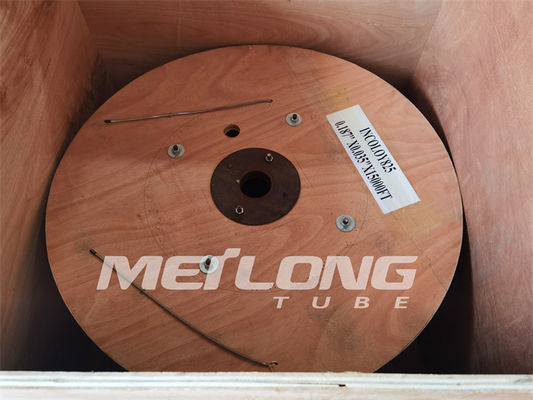 ASTM A789 1/8 inç Hidrolik Kontrol Hattı Dubleks SS İnce Duvarlı Kılcal Boru